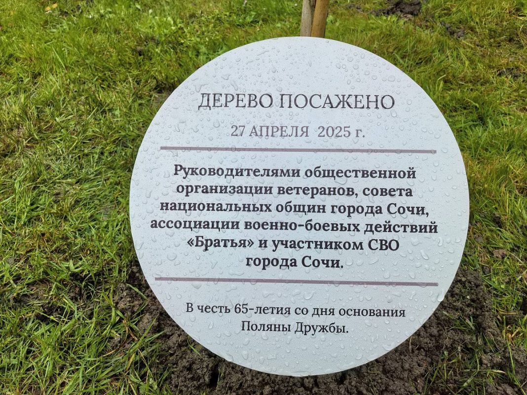 В парке «Ривьера» высадили магнолию в честь 65-летия «Поляны Дружбы»