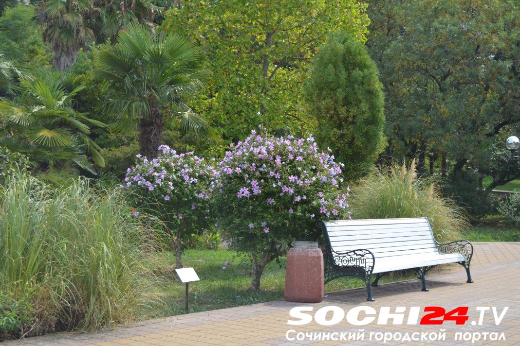 Больше 300 тысяч сезонных цветов высадят на территории Сочи в преддверии майских праздников