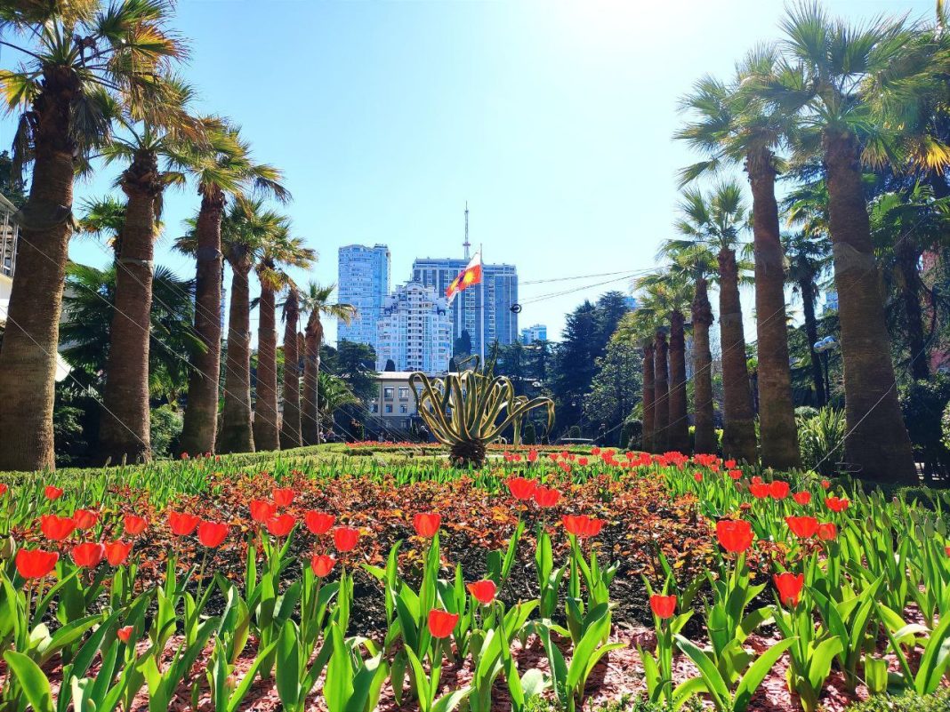 Сочи получит статус курорта федерального значения с 2026 года