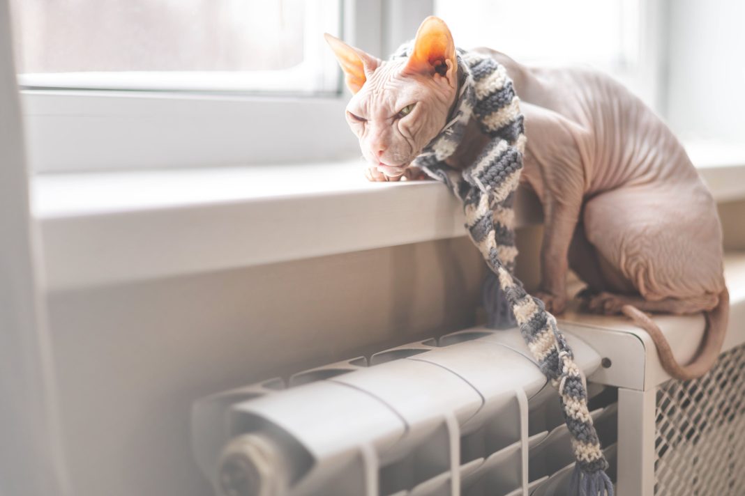 Отопительный сезон в прибрежном кластере Сочи завершится 17 апреля