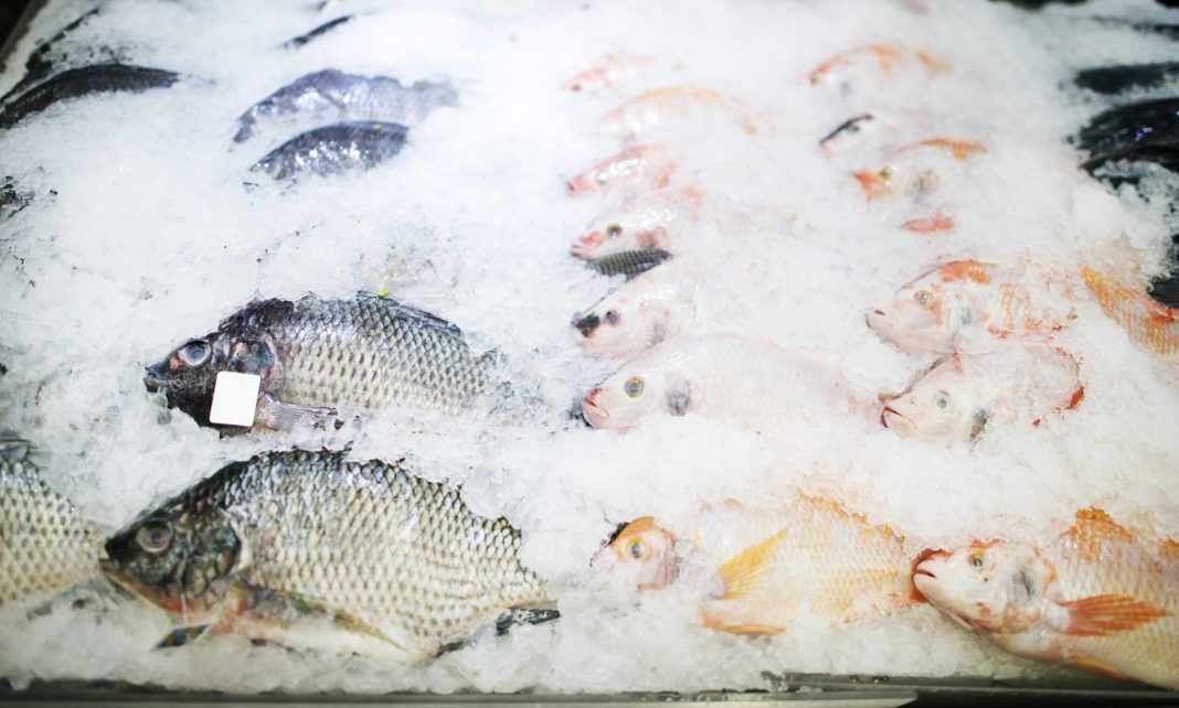 Сочинские предприятия выловили больше 700 тонн рыбы в минувшем году