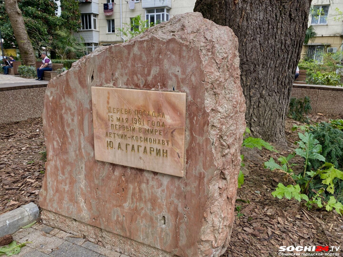 Там, где город умолкает: топ-5 скверов Сочи для красоты и уединения 16 Новости 93: Там, где город умолкает: топ-5 скверов Сочи для красоты и уединения | img 0306 scaled