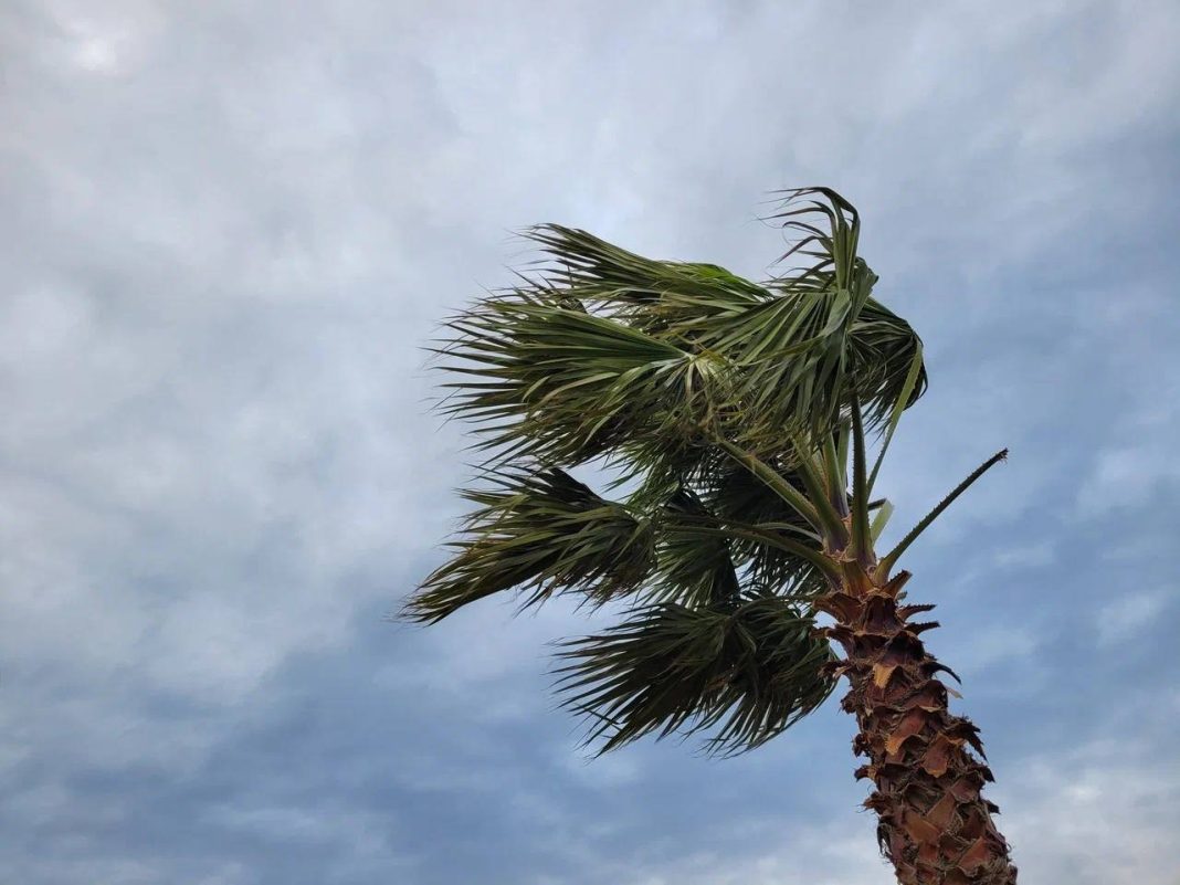 Жителей Сочи просят отказаться от отдыха у воды из-за штормового предупреждения