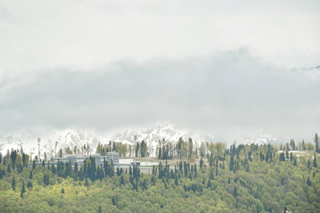 В Сочи ожидаются туман и грозы, службы работают в усиленном режиме