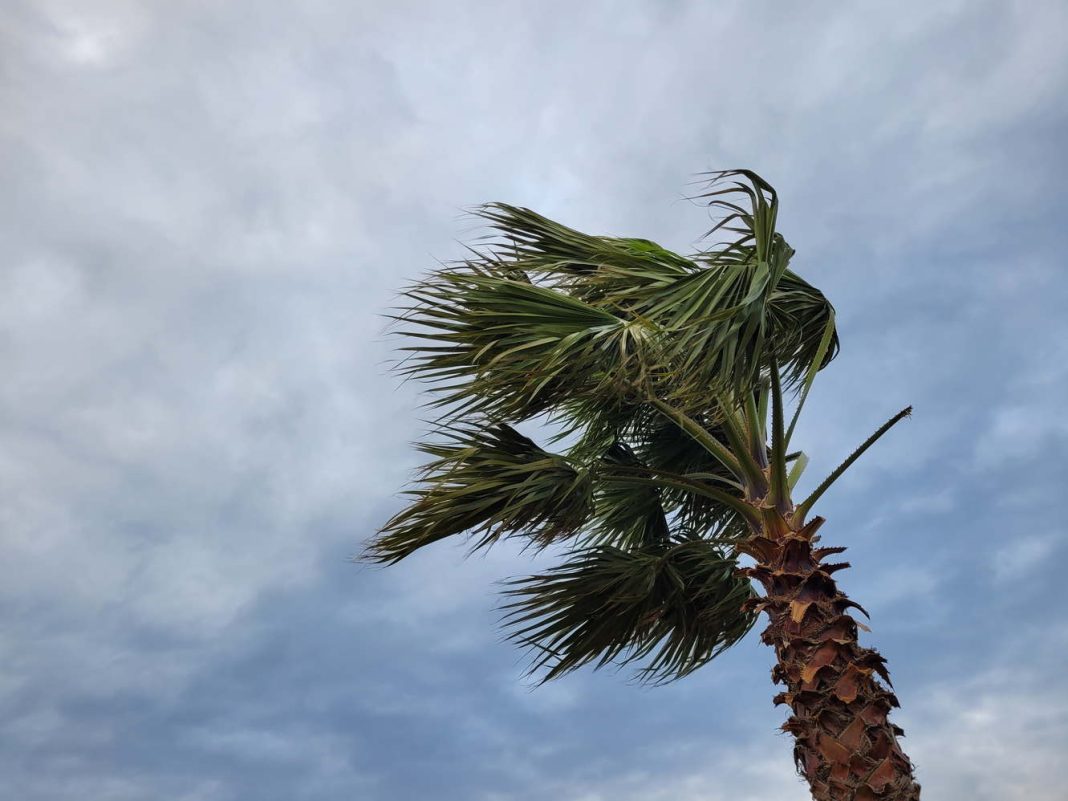 Дождь, гроза и шторм: в Сочи прогнозируют ухудшение погодных условий