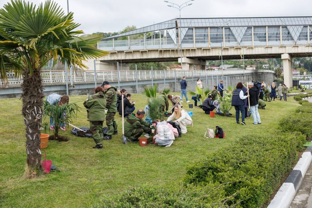 Аллею пальм высадили в аэропорту Сочи к 80-летию воздушной гавани