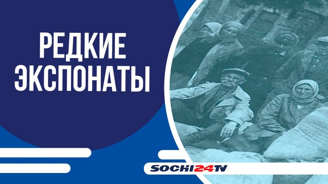 Семена Победы: как труды сочинских ученых помогли стране выжить в годы войны