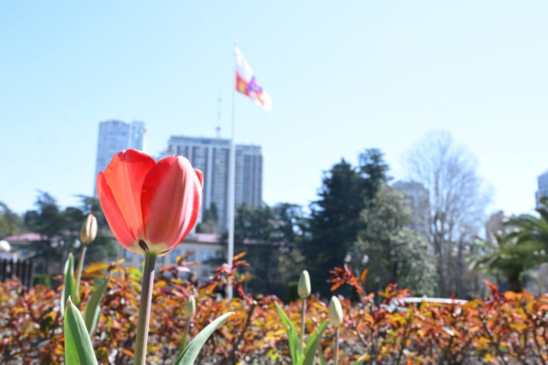 Курортный бум в Сочи: 80 % номеров в отелях заняты на июньские праздники