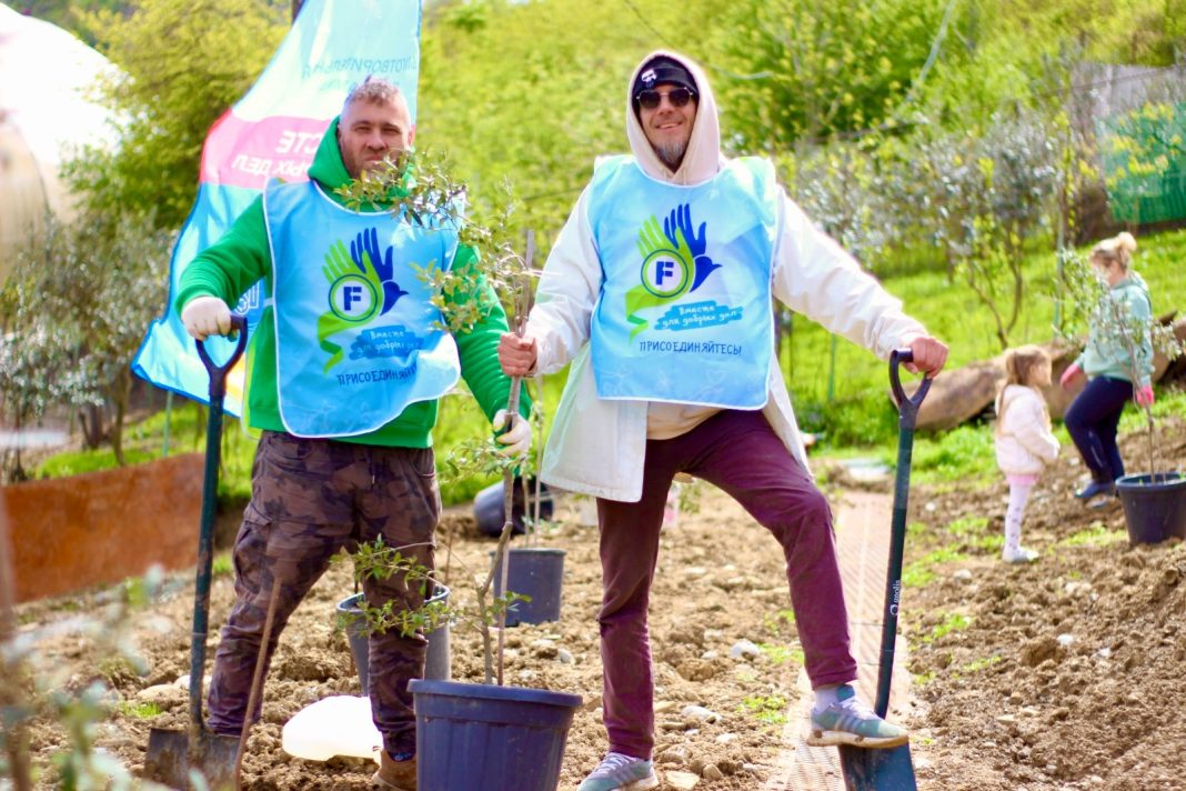 Fix Price посадил аллею греческой оливы в Сочи