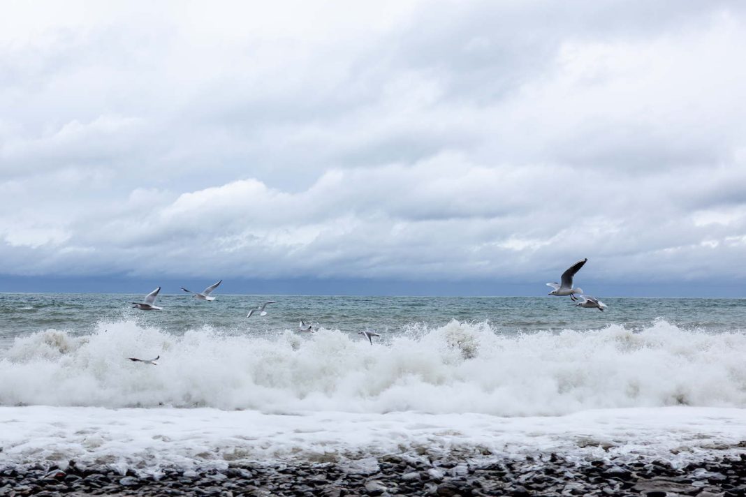 Администрация Сочи информирует об учебных стрельбах в различных районах города 20 ноября