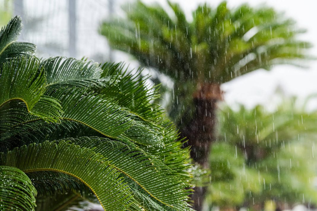 Сочи готовится к ухудшению погоды: усиливаются меры безопасности