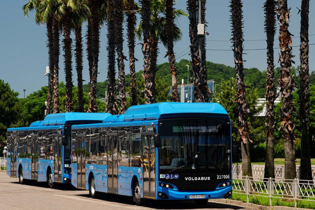 С 1 июня автобусы в Сочи переходят на летнее расписание