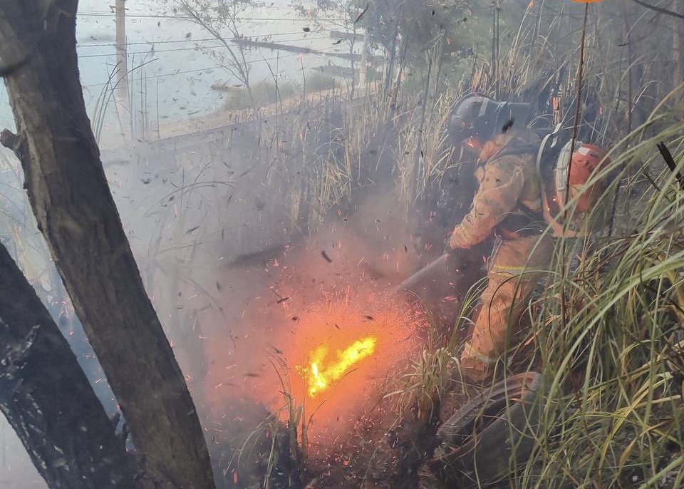 В Сочи произошел пожар на ж/д путях между Кудепстой и Хостой