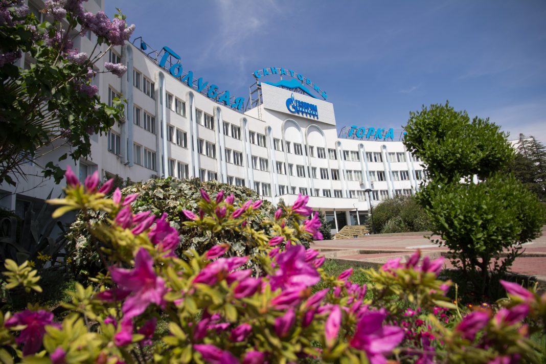 «Голубая горка» и «Санаторий Юг» в Сочи выставлены на продажу