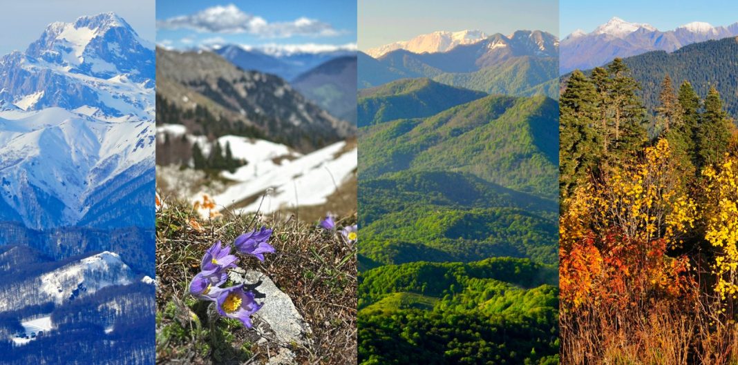 В Сочинском национальном парке стартует фотоконкурс «Четыре сезона красоты»