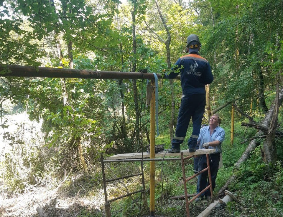 Упавшее дерево в Сочи повредило газопровод – аварию устранили