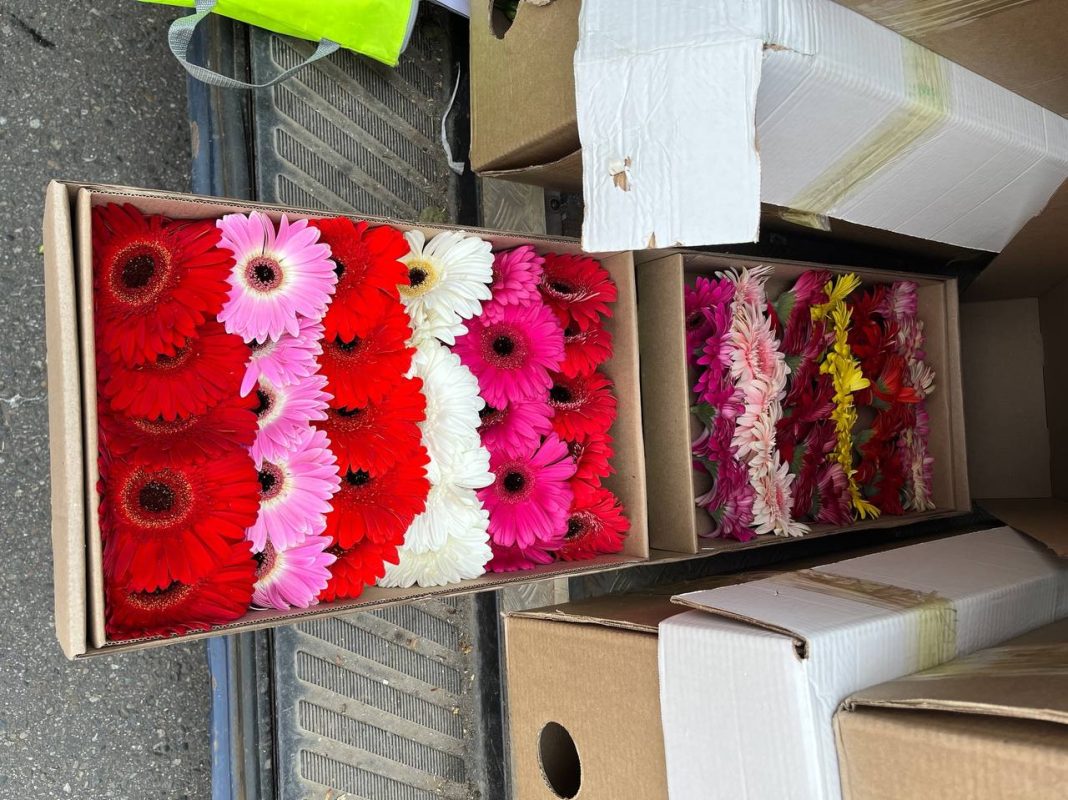 Зараженные цветы из Армении не смогли попасть на территорию Краснодарского края