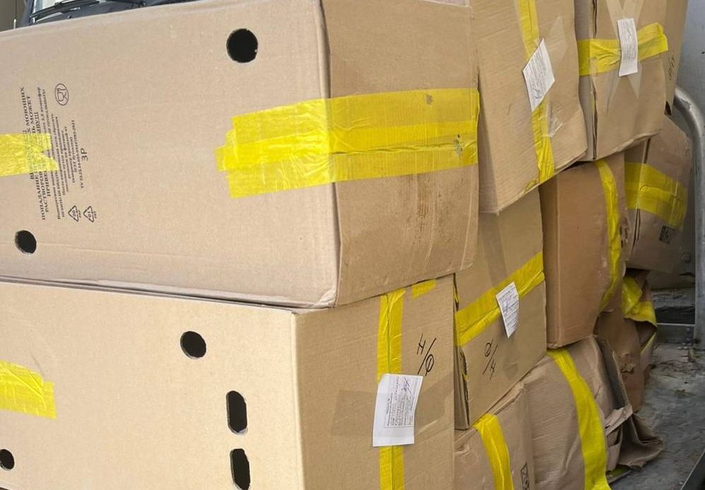 Нелегальный разлив в Сочи: изъято 360 литров контрафактного пива