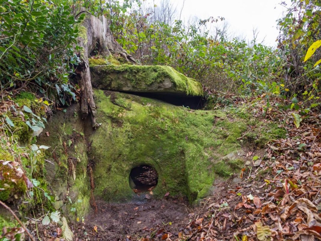 Редкий дольмен обнаружен на новых землях Сочинского нацпарка