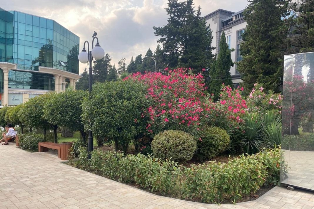 Сквер «Чайка» обновили, лестницы укрепили: в Сочи подводят итоги программы «Малые дела»