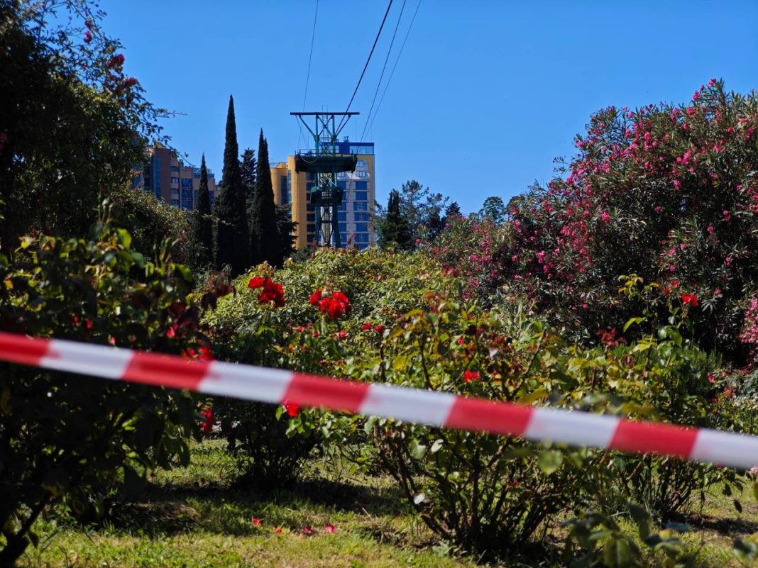 Две недели без цветов: в сочинском Дендрарии закрыли доступ к знаменитому саду из-за ремонта канатки