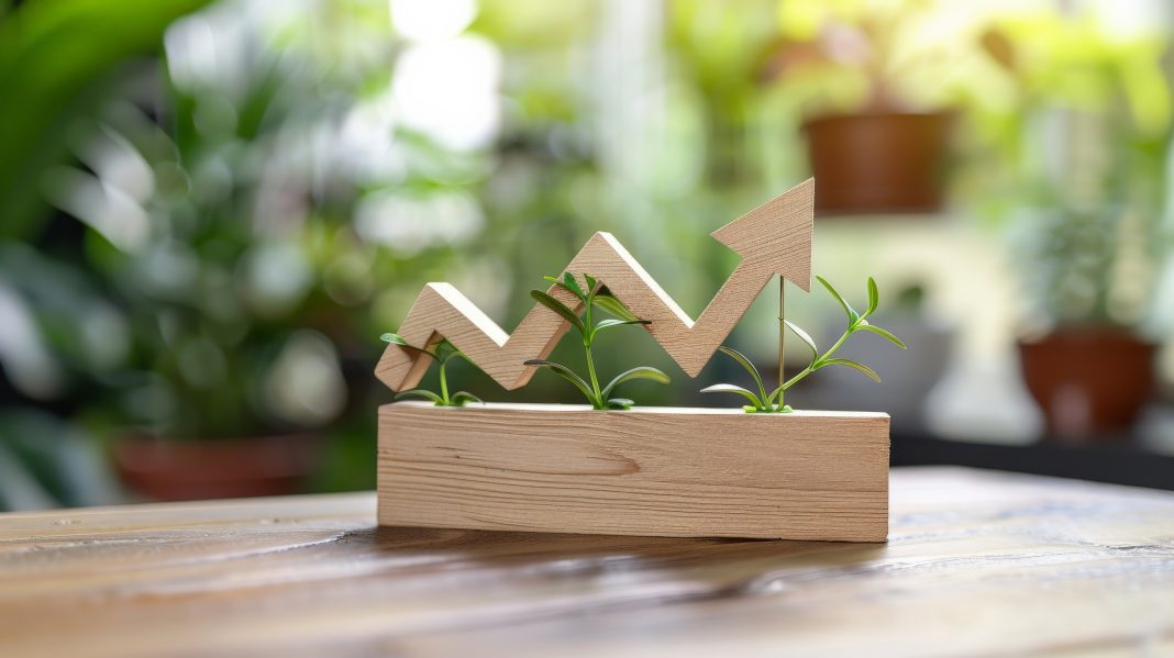 Малый бизнес Сочи растёт: власти анонсируют новые меры поддержки