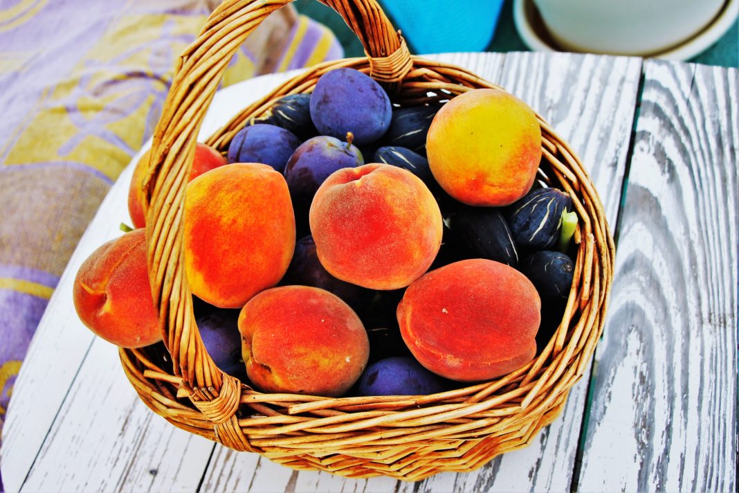 Несмотря на весенние заморозки, в Сочи собрали хороший урожай персиков и слив