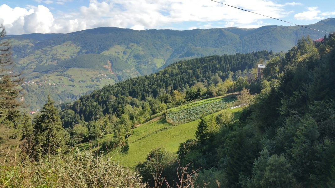 Подросток и мужчина погибли в горах Абхазии в минувшие выходные