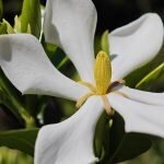 IMG_20250625_104907