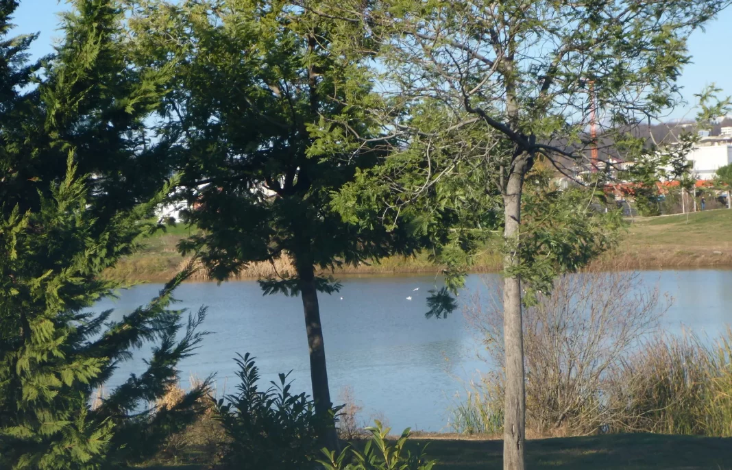 В Сириусе на день закроют кластер орнитологического парка