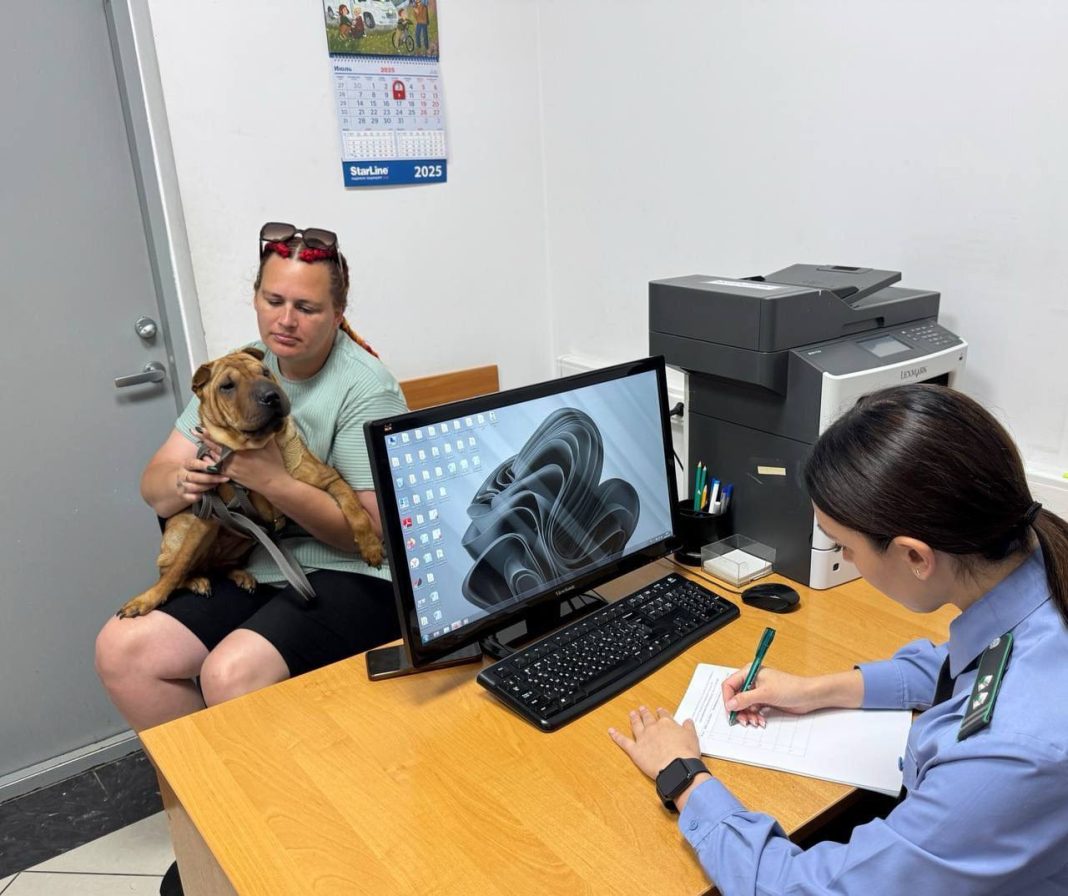 Питомцы под контролем: в Сочи оформили более 360 ветсертификатов на выезд за границу