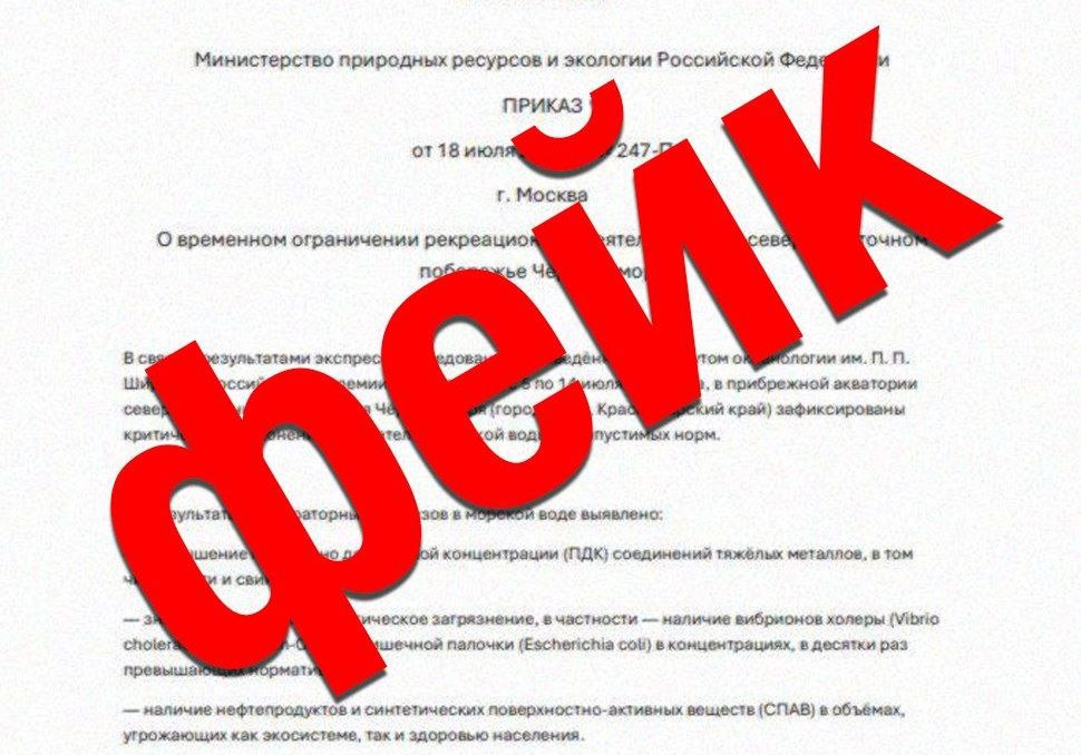 Администрация Сочи опровергла фейк о мазуте и холере в море