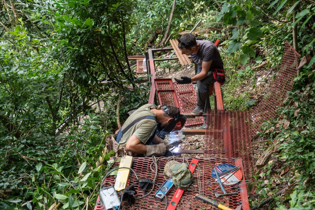 В Сочи обновляют тропу на Большом кольце в Тисо-самшитовой роще