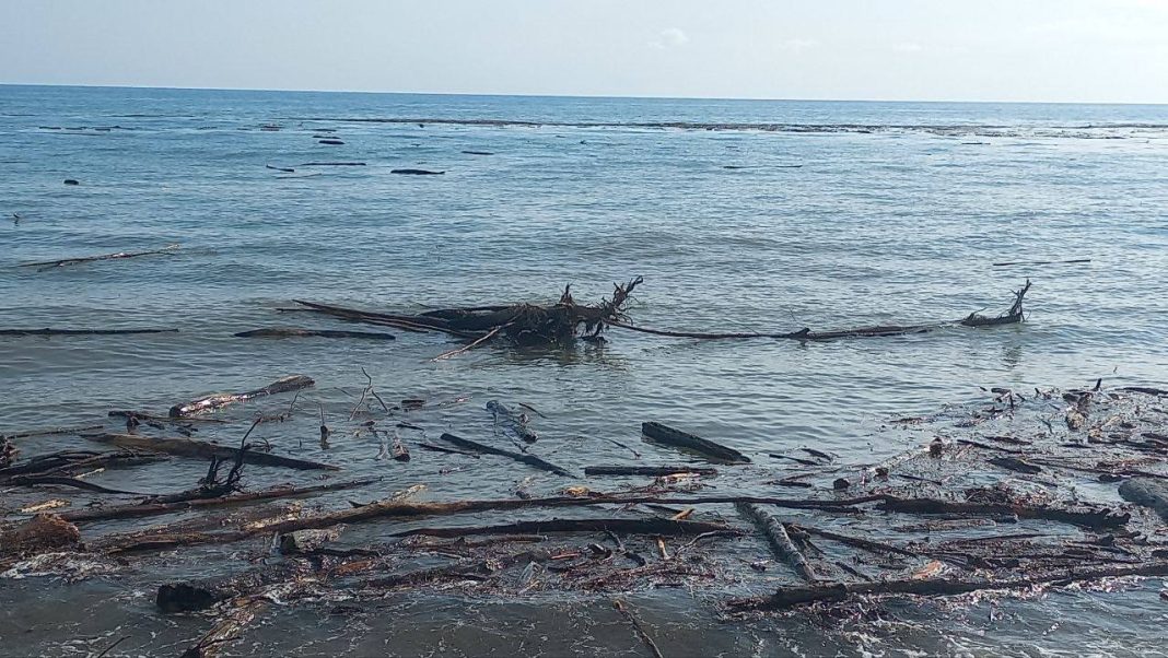 В Сириусе началась уборка пляжных территорий, пострадавших из-за недавних ливней