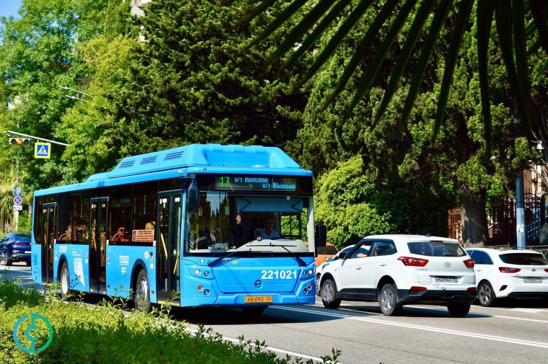 В Сочи продлят работу автобуса №17 в ночь крещенских купаний