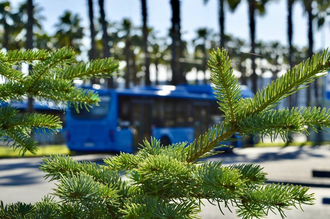 Ученики школы №18 из села Верхнениколаевское будут добираться до нее с пересадкой