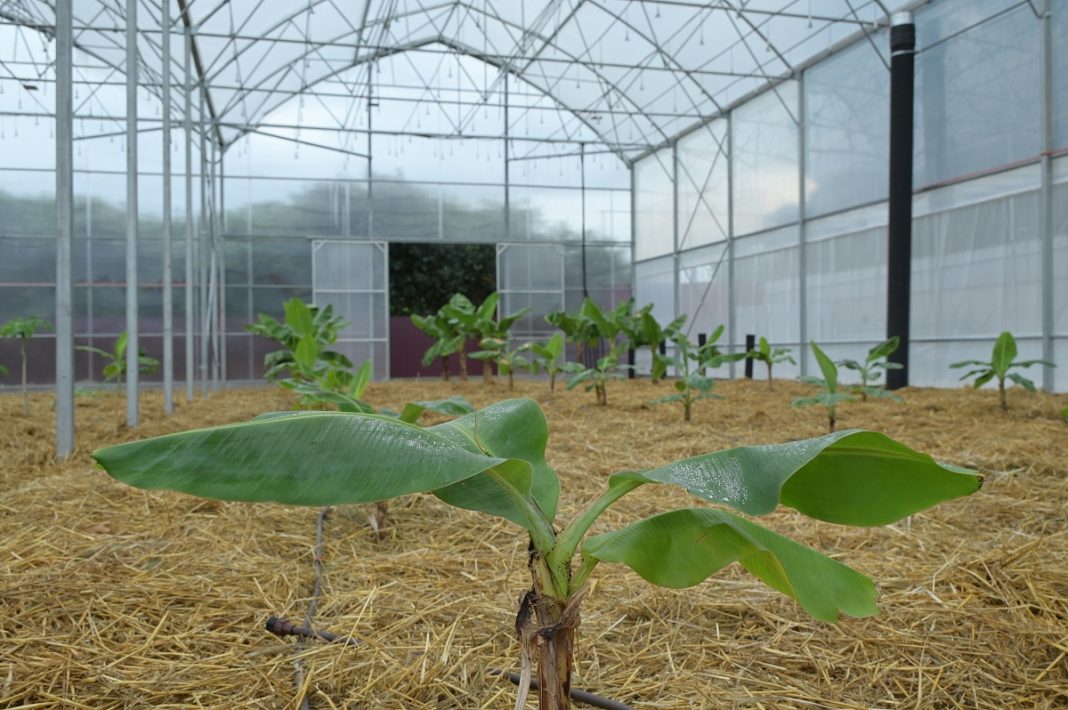 Инвестиции в агротуризм: глава Сочи ознакомился с перспективным проектом