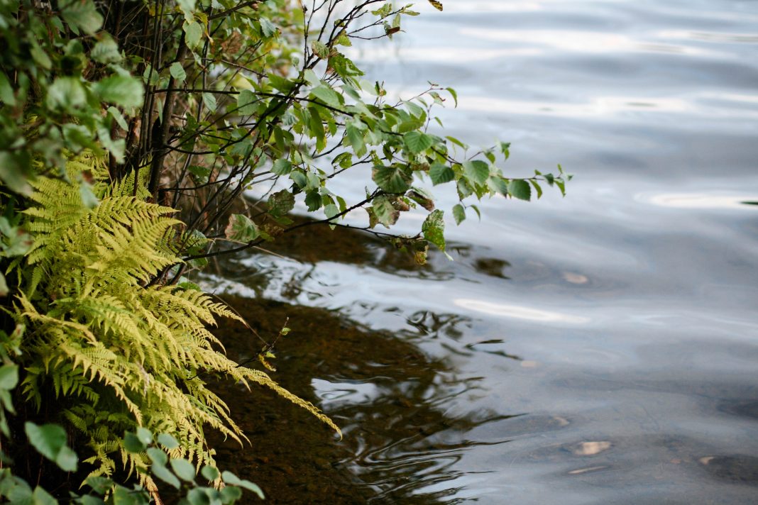 В Сочи расчистили русло реки Мацеста в преддверии половодья