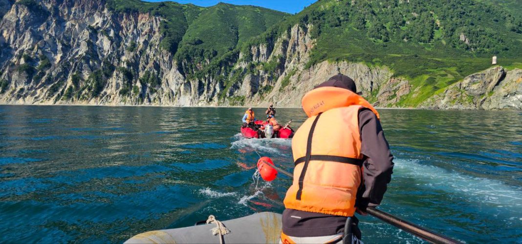 Как распутать кита: в Сириусе прошел интенсив для спасателей