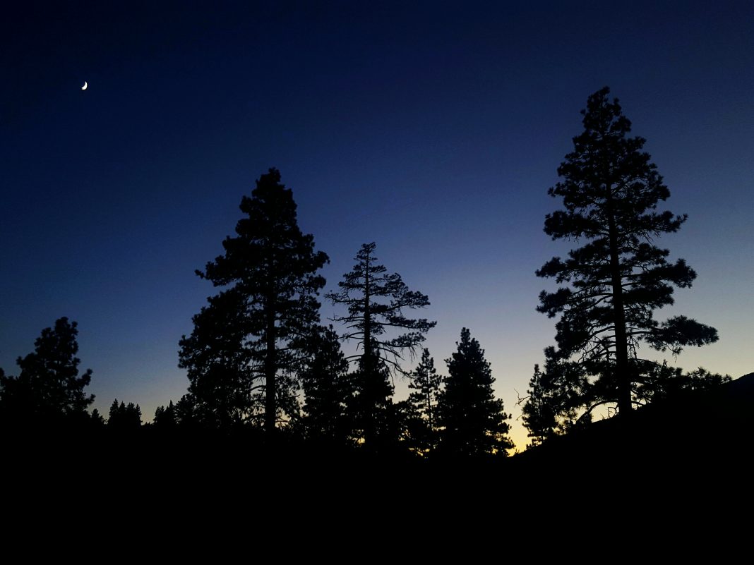 Хотел сократить путь, но потерялся в лесу: в Сочи спасатели отправились на поиски молодого мужчины