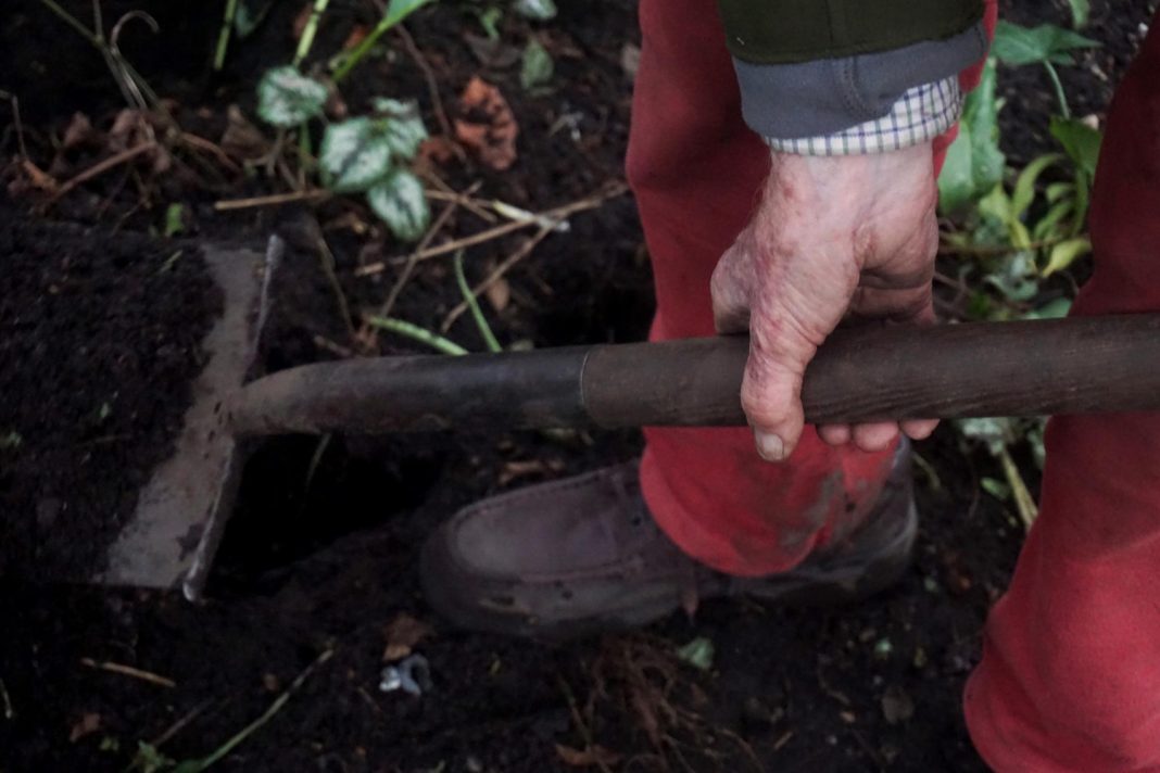 Убийца Татьяны Магомедовой показал, где закопал тело 36-летней «дюймовочки» из Краснодарского края