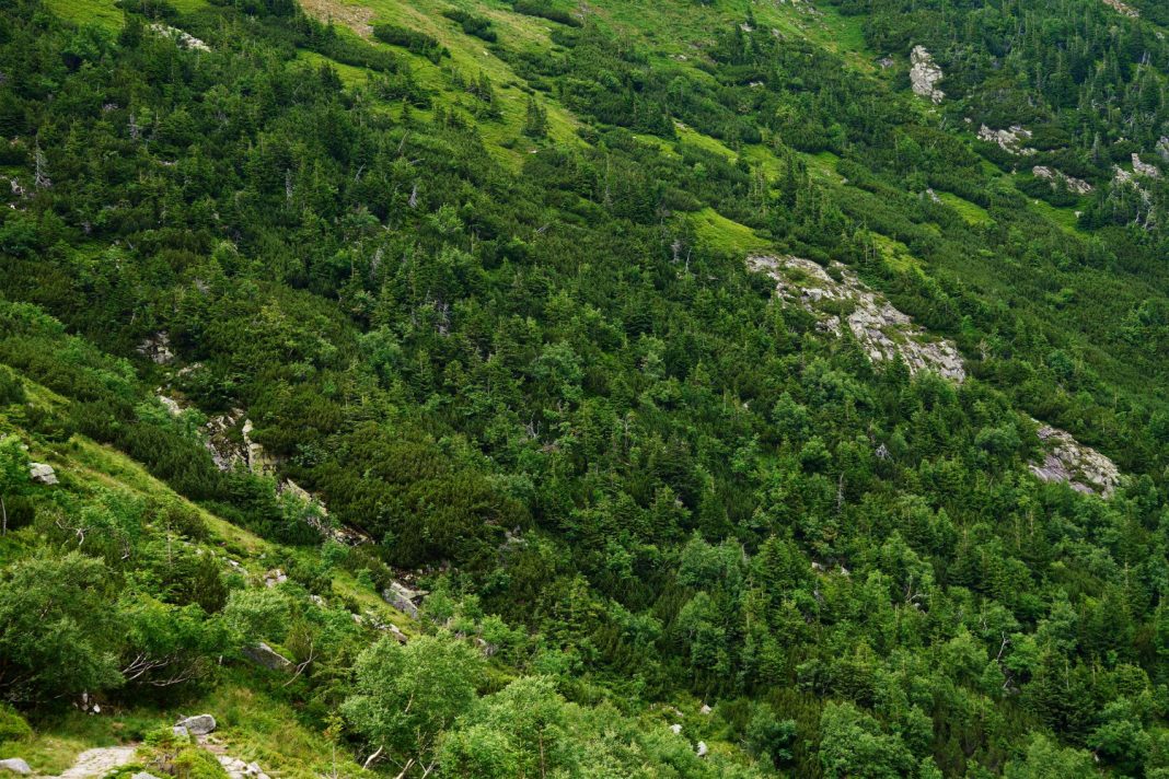 Туристы с младенцем потерялись в горах Сочи