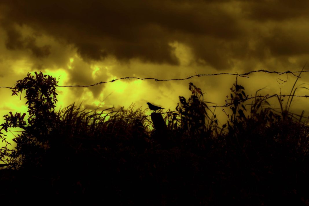 Украина истощится, деньги исчезнут: каким видел тревожный конец войны в 2025 году Нострадамус