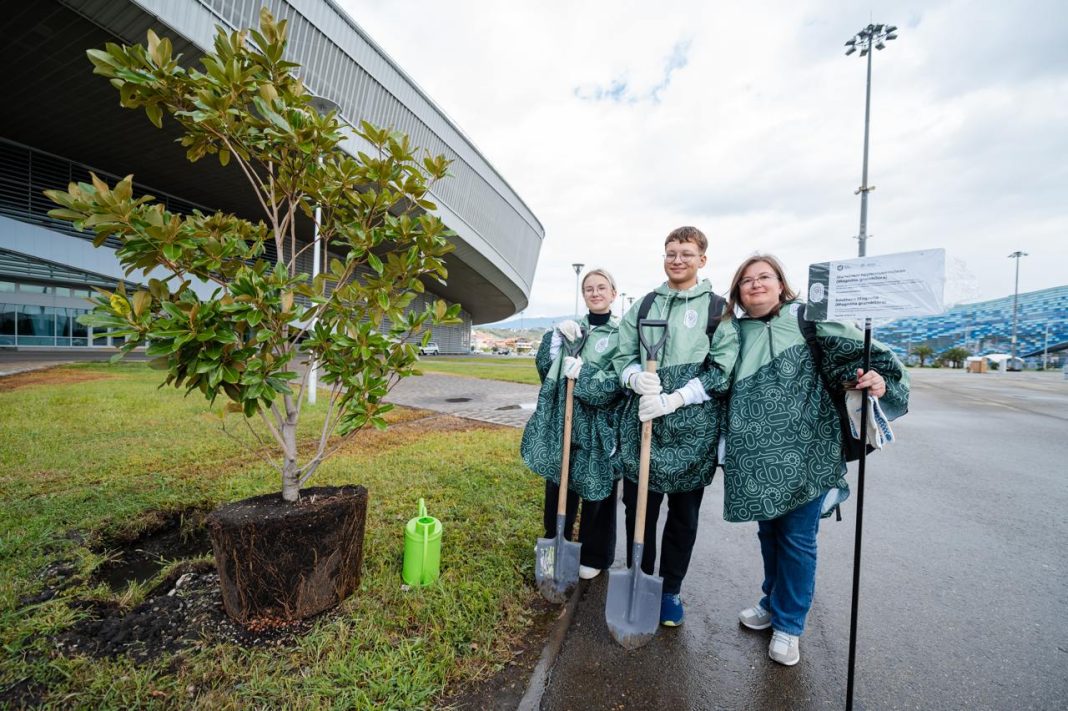 Участники Международной климатической Олимпиады высадили саженцы магнолии в Сириусе