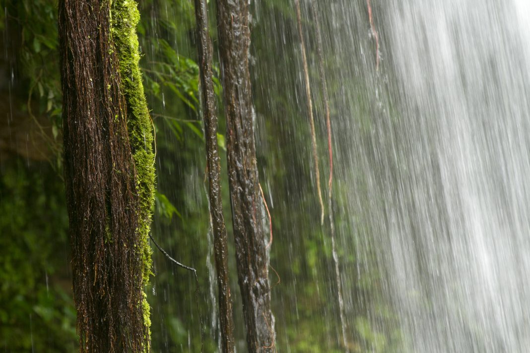 Сильный ливень обрушится на Сочи и Сириус 27 сентября