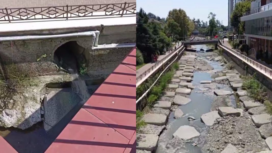 Скрытая утечка канализации: в Сочи зафиксирована гибель речной рыбы