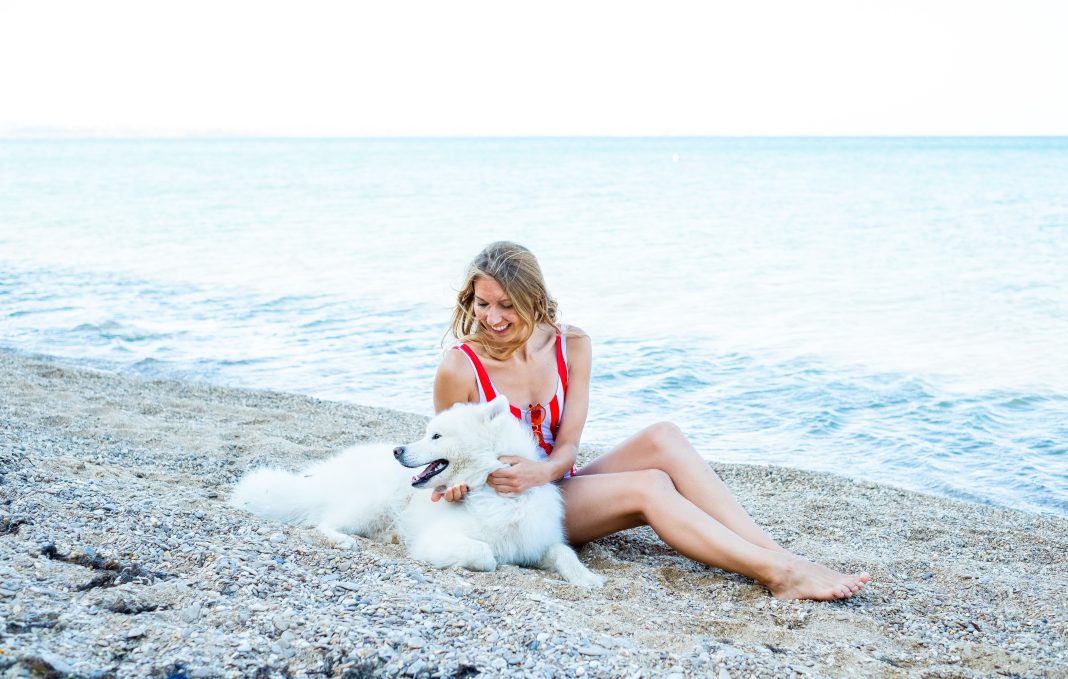 Собакам вход воспрещен: в Сочи и по всей России вступил в силу пляжный запрет с 1 сентября