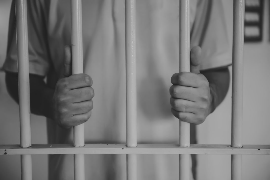 Сообщника сочинской аферистки, обманувшей биробиджанцев на 31 миллион, доставят в суд из Петербурга