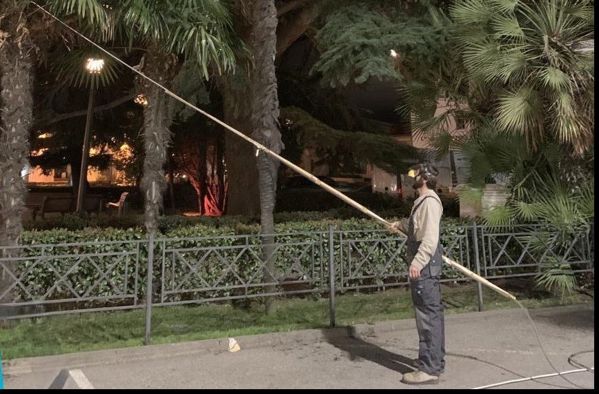 Защита субтропической зелени: в Сочи продолжаются обработки насаждений