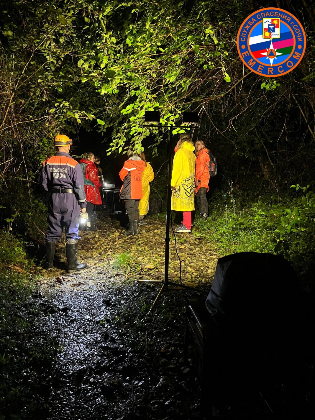 Вторые сутки в Сочи ищут пропавшего в лесу пенсионера с деменцией